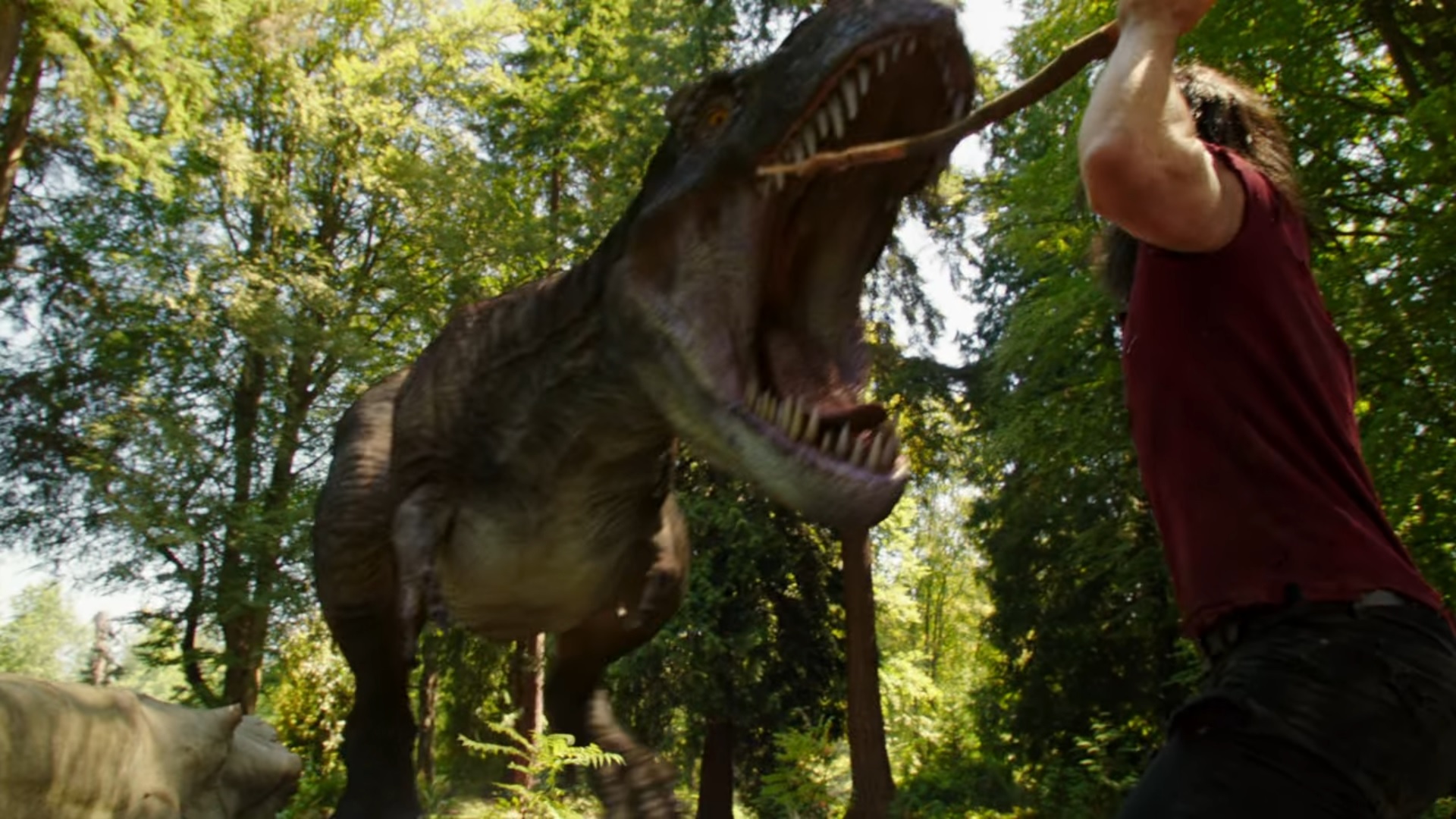 Ray et un dinosaure