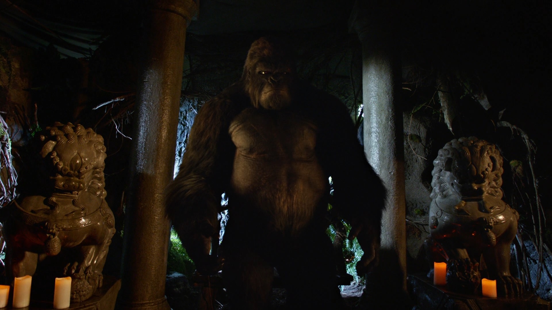 Grodd