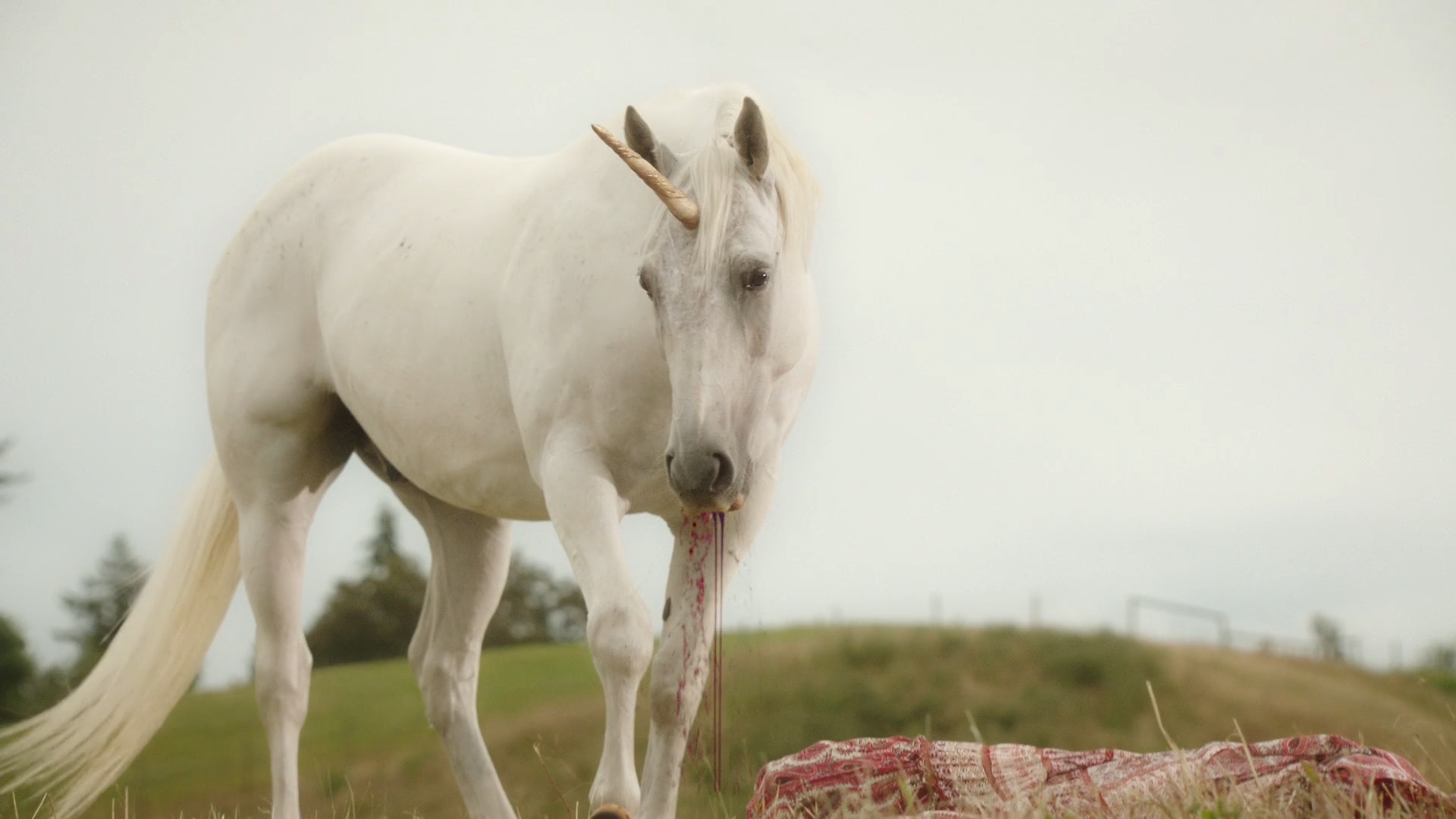 Une licorne avec du sang coulant de sa gueule